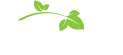 Ivy Marketing Group